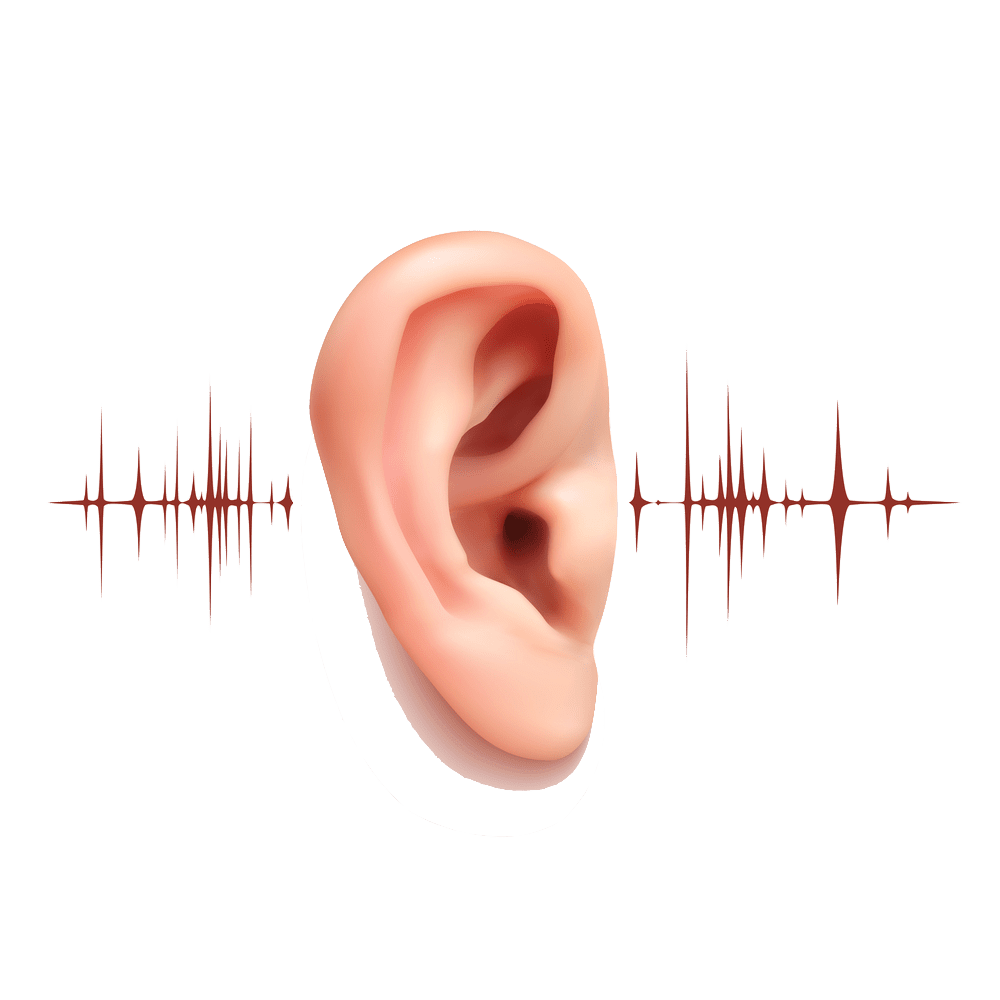 Signs of Hearing Loss