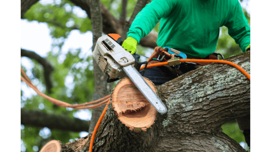 Wear Ear Protection During Summer DIY Projects